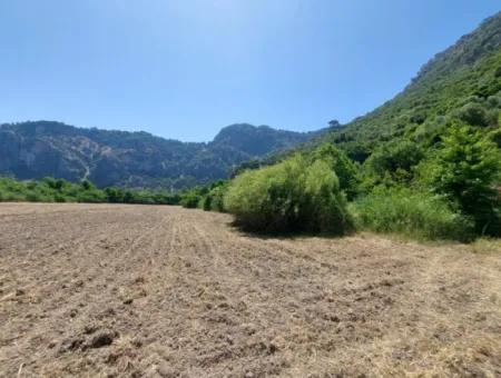 Schnäppchengrundstück Geeignet Für Investitionen In Einem 7.750 M2 Großen Bebauungsplan In Muğla Marmarlı Zum Verkauf