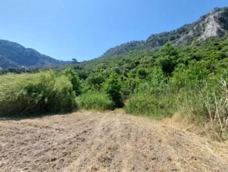 Schnäppchengrundstück Geeignet Für Investitionen In Einem 7.750 M2 Großen Bebauungsplan In Muğla Marmarlı Zum Verkauf