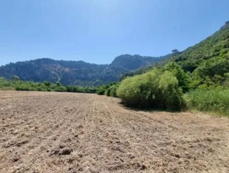 Schnäppchengrundstück Geeignet Für Investitionen In Einem 7.750 M2 Großen Bebauungsplan In Muğla Marmarlı Zum Verkauf