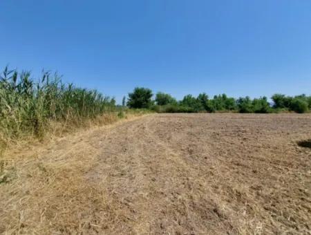 Schnäppchengrundstück Geeignet Für Investitionen In Einem 7.750 M2 Großen Bebauungsplan In Muğla Marmarlı Zum Verkauf