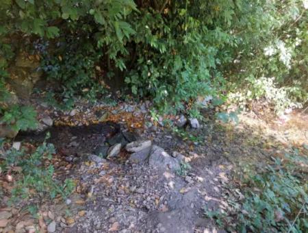 Schnäppchengrundstück Geeignet Für Investitionen In Einem 7.750 M2 Großen Bebauungsplan In Muğla Marmarlı Zum Verkauf