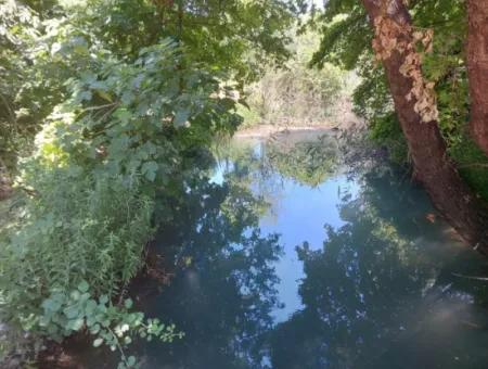 Schnäppchengrundstück Geeignet Für Investitionen In Einem 7.750 M2 Großen Bebauungsplan In Muğla Marmarlı Zum Verkauf
