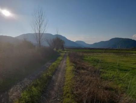14.500 M² Fruchtbares Land In Ortaca Güzelyurt Zur Langzeitmiete – Geeignet Für Die Tierhaltung