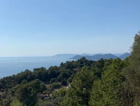 Tourismus-Zonen Grundstücke Zum Verkauf In Fethiye Mit Meerblick Faralya