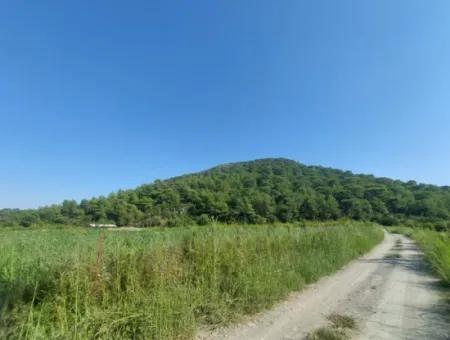 73.500 M² Granatapfelgarten, Geeignet Für Investitionen In Ortaca Dalyan Zu Verkaufen