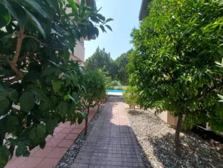 Muğla Ortaca Dalyanda Schwimmbad, Voll Möbliert 1 1 Wohnung Zu Vermieten