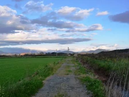 Freistehende Fruchtbare Schnäppchen Land Zum Verkauf In Ortaca Mergenli