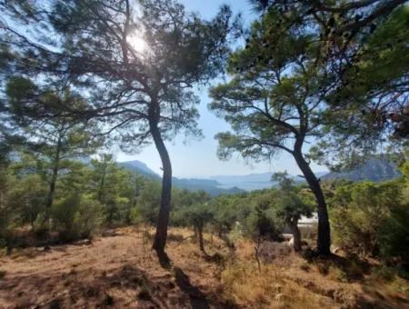 1.361 M² Investitionsgrundstück Mit See- Und Meerblick Zum Verkauf In Muğla Ortaca Gökbel