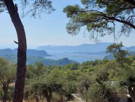 1.361 M² Investitionsgrundstück Mit See- Und Meerblick Zum Verkauf In Muğla Ortaca Gökbel