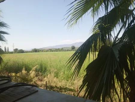 3 1 Möbliertes Einfamilienhaus Zu Vermieten