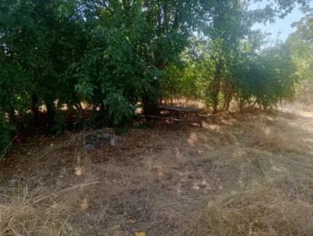 3 1 Möbliertes Einfamilienhaus Zu Vermieten