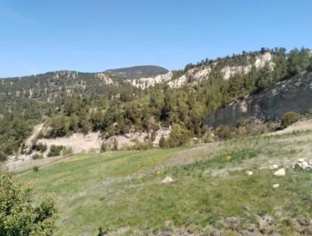 Çameli Kolakta Schnäppchen 20 000 M2 Freistehende Eigentumsurkunde Land Steht Zum Verkauf Oder Tausch.