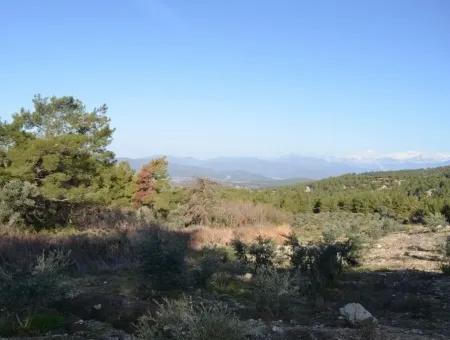 Wertvolle Waterfront Land Zum Verkauf In Tlos Fethiye Kragen