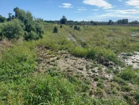 500 M2 2 Parzelle Grundstück Zum Verkauf In Ortaca Fevziye