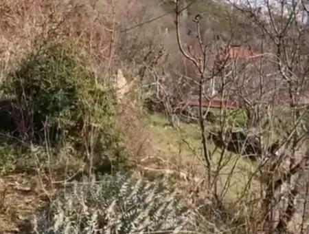 406 M2 Grundstück Mit 200 M2 Wohnfläche In Muğla Menteşe Zeytinköy Zu Verkaufen