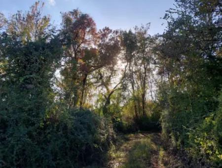 9 600 M2 Grundstück In Der Nähe Des Sees In Köyceğiz Toparlar Stehen Zum Verkauf