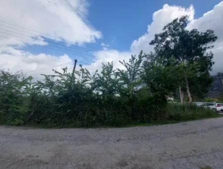 5.000 M2 Grundstück Mit 150 M2 Baurecht Stehen In Muğla Dalyan Zum Verkauf
