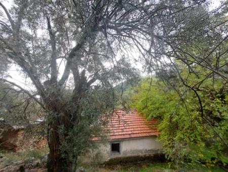 Dorfhaus Mit Eigentumsurkunde Zum Verkauf In Der Natur In Muğla Fethiye İnlice