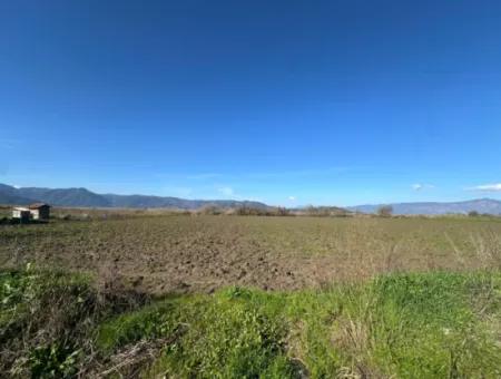Feld Zum Verkauf In Der Nähe Von Dalyan, Nahe Dem Köyceğiz-See