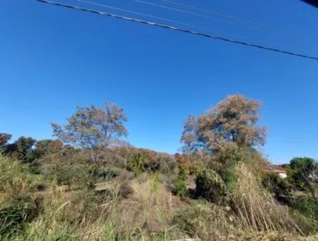 Ein Schnäppchen, Das Für Investitionen In Muğla Dalyan Geeignet Ist, 4.000 M² Land Am Wald Steht Zum Verkauf