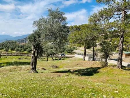 Freistehendes Feld Zu Verkaufen In Ortaca Gökbel