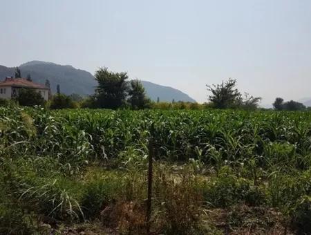 3000 M2 Grundstück Geeignet Für Investitionen Zum Verkauf In Mugla Ortaca Bogenschützen