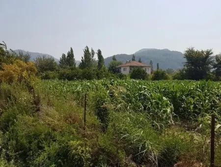 3000 M2 Grundstück Geeignet Für Investitionen Zum Verkauf In Mugla Ortaca Bogenschützen