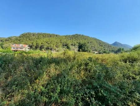 Weinberg Garten Zoning Land Zu Verkaufen In Gocek Inlice