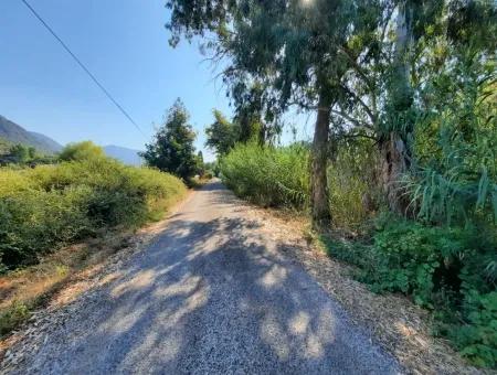 Weinberg Garten Zoning Land Zu Verkaufen In Gocek Inlice