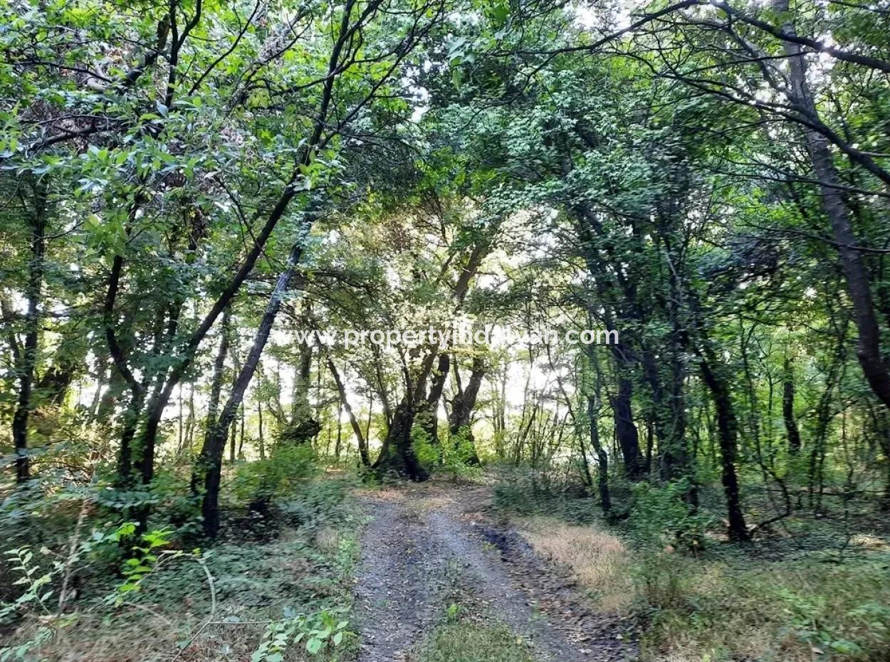 Land Suitable For Investment For Sale In Mugla Dalyan Marmarlı