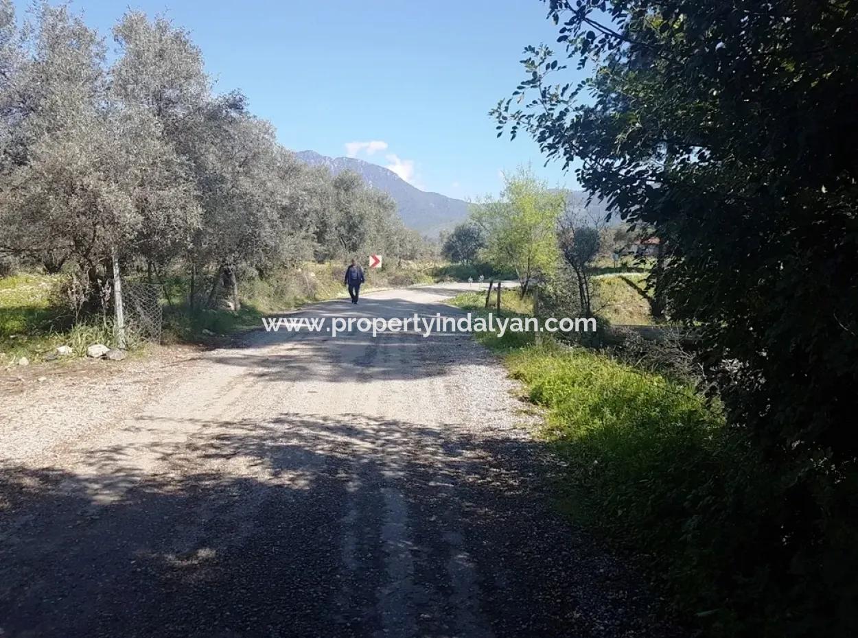 Land For Sale With Lake View In Köycegiz Zeytin Area