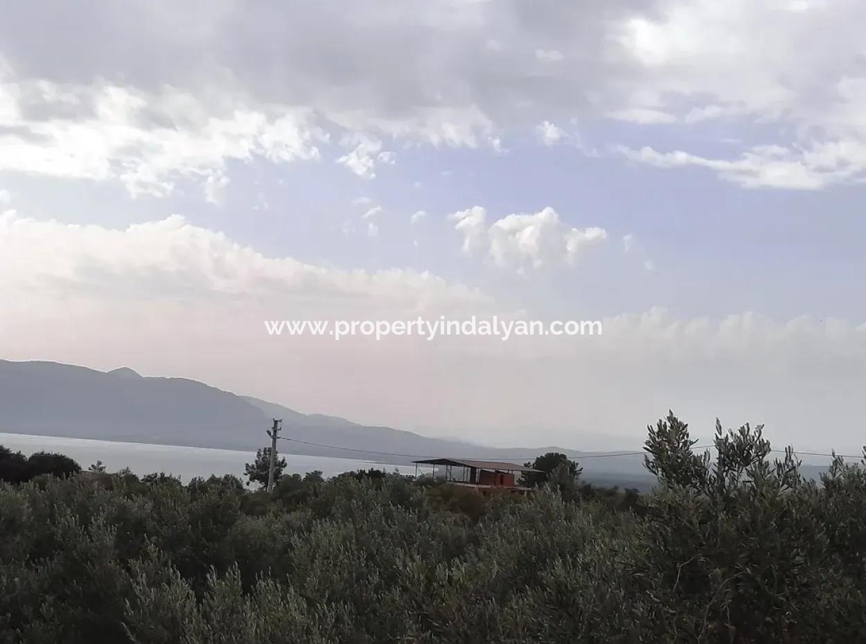 Land With Lake Views For Sale In Köyceeğiz Zeytin Area