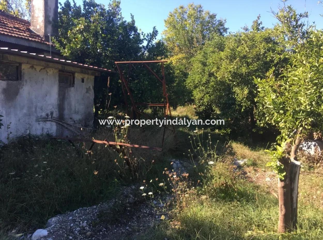 Land And Old Village House For Sale In Köyceeğiz Fire