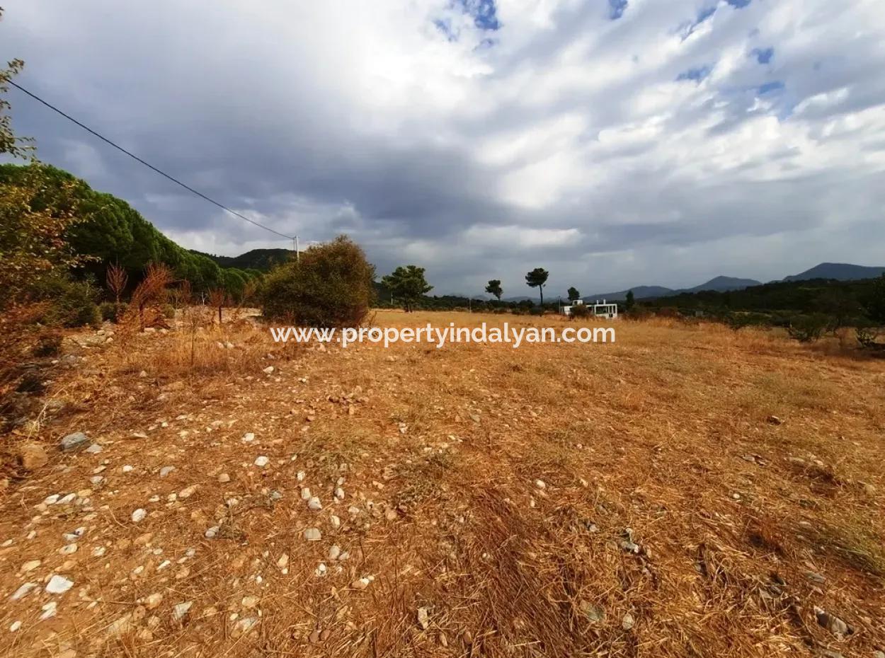 Detached Land With Lake Views For Sale In Köyceeğiz Zeytin Area