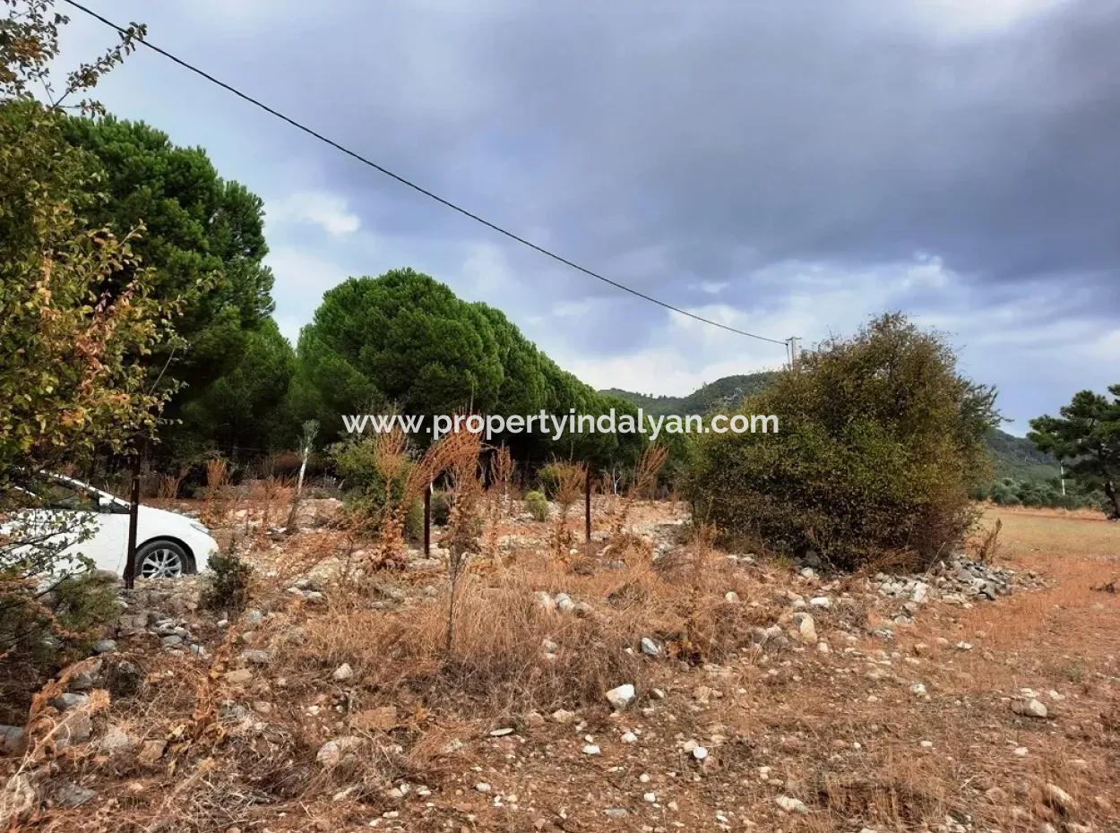 Detached Land With Lake Views For Sale In Köyceeğiz Zeytin Area