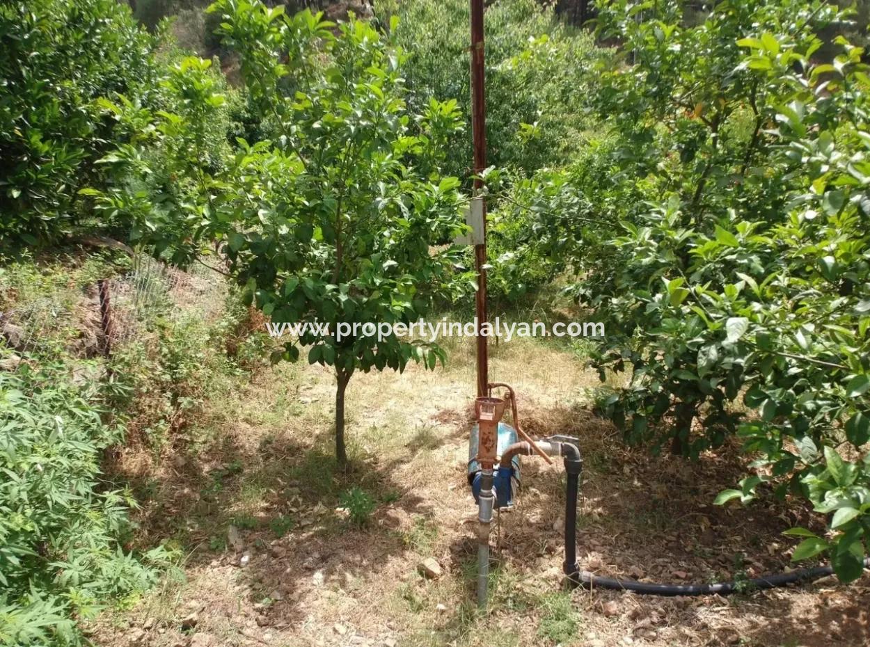 Land With Lake Views For Sale Between Ortaca Tepearasi