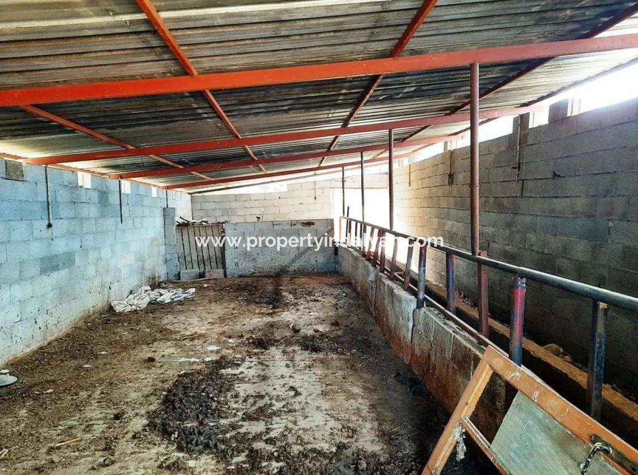 Denizli Çameli Cevizli 2 700 M2 Land And Village House For Sale