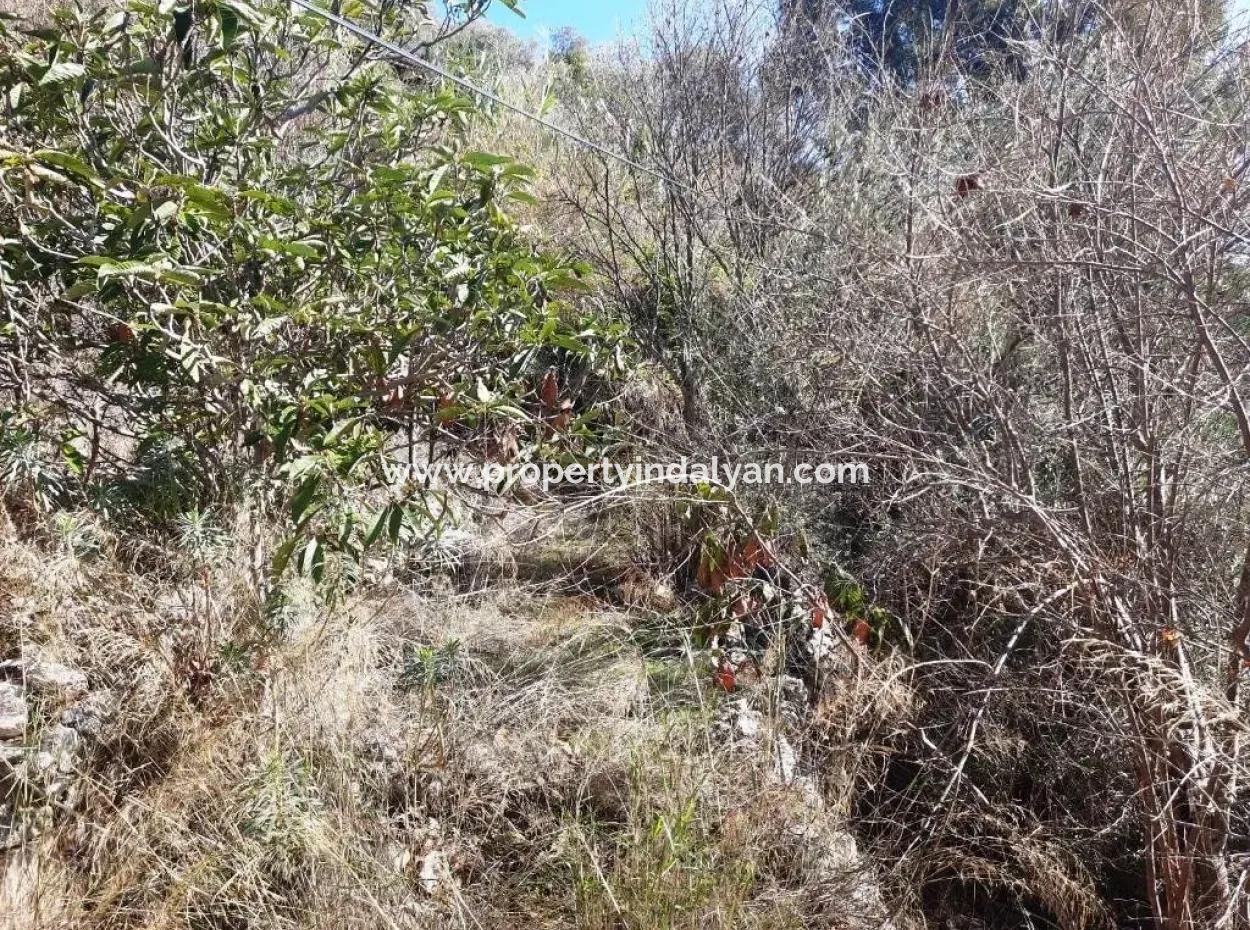 Detached Village House With Sea And Nature Views For Sale In Ula Gokova