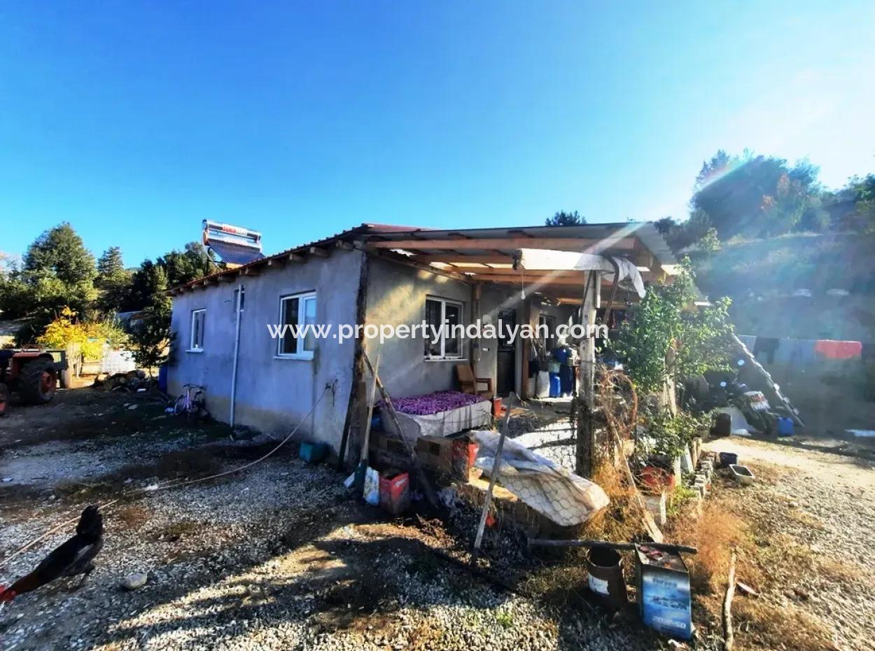 Denizli Çameli Kizilyaka Butterfly Land And Village House With Dog View For Sale
