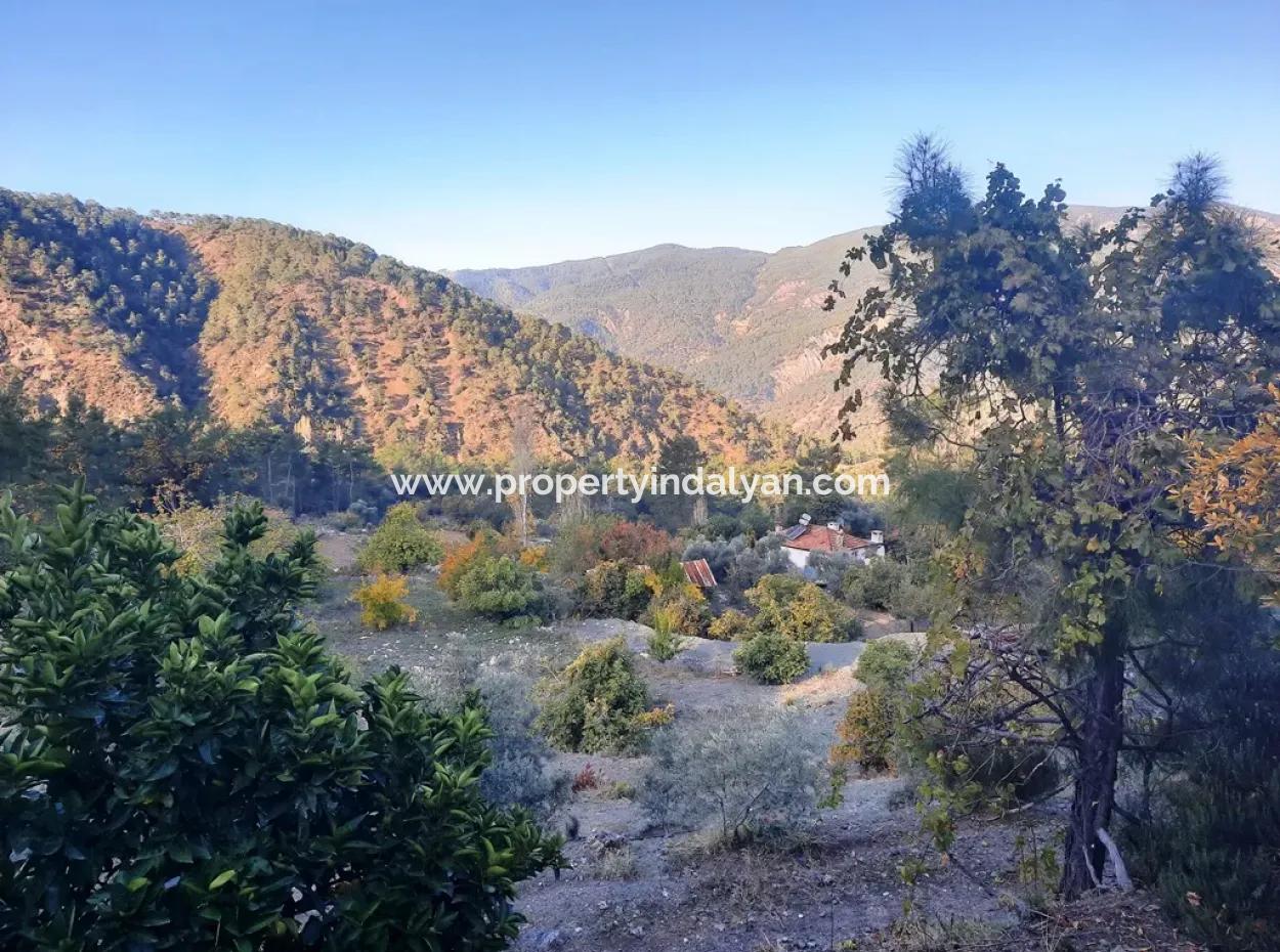 Mugla Dalaman Narli 1800 M2 Bargain Land For Sale