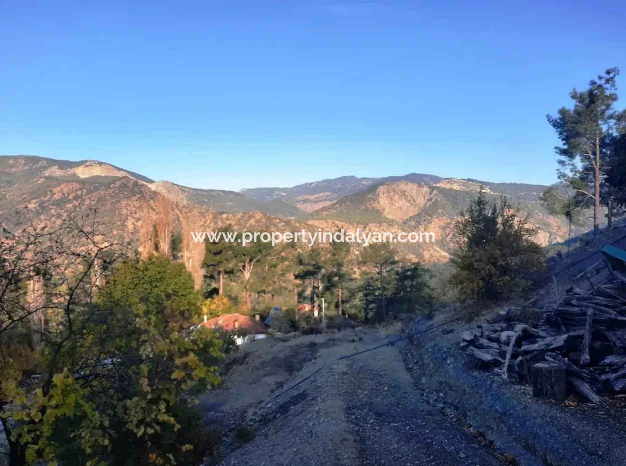 Mugla Dalaman Narli 1800 M2 Bargain Land For Sale