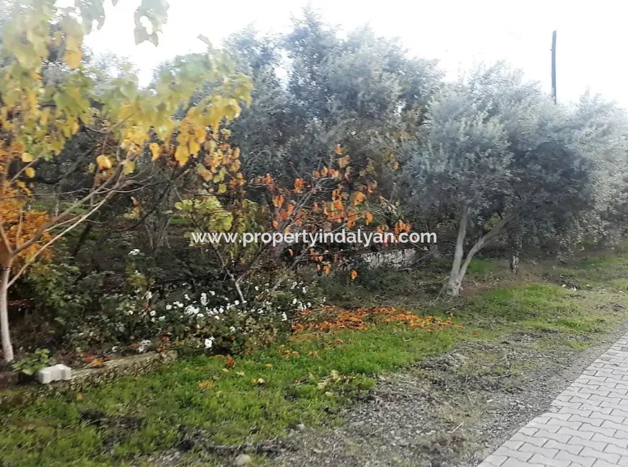 Zoning Plots With Lake Views For Sale In Köyceğinz Toparlar