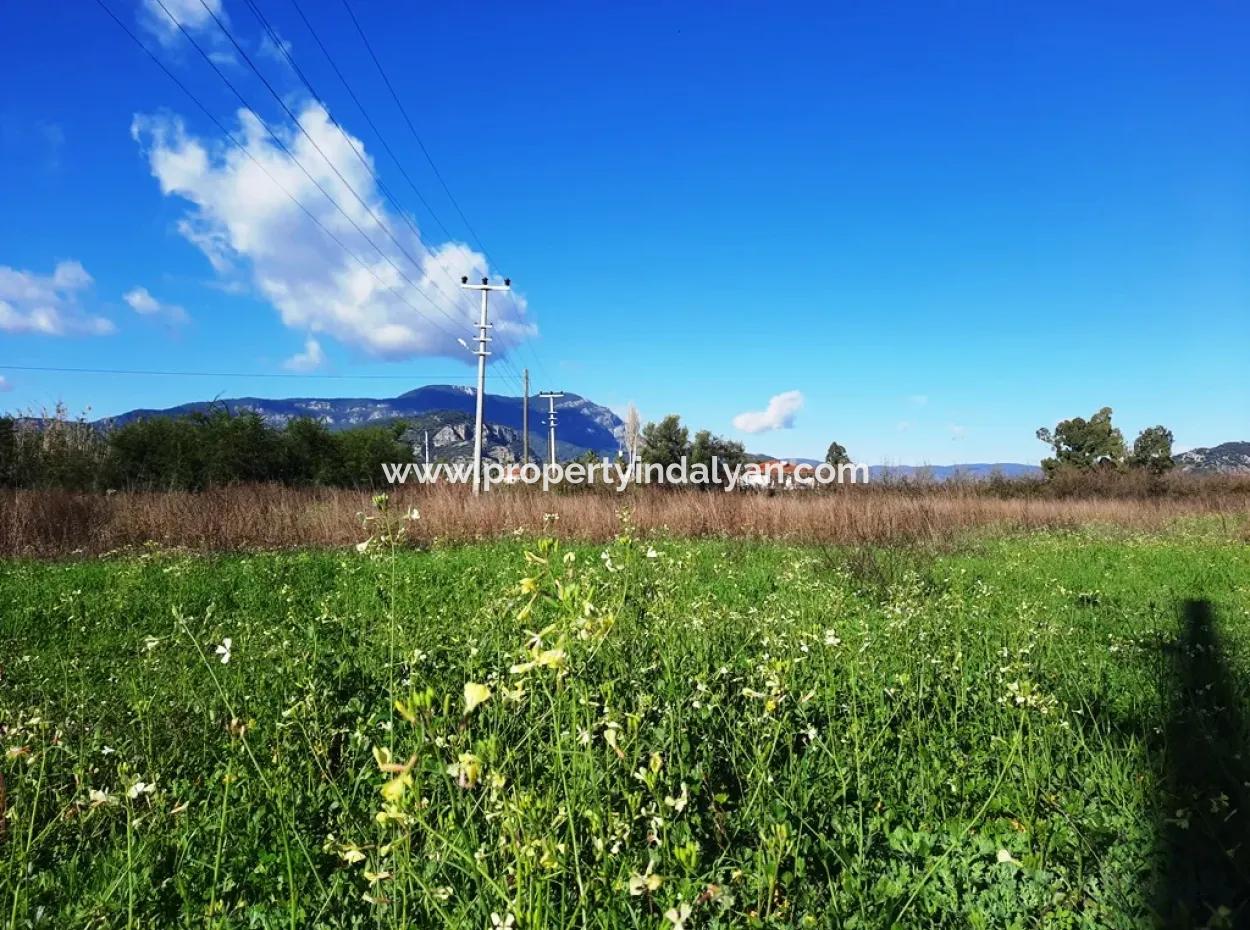 Mugla Ortaca Dalyan Is Also Fertile Land Suitable For 9 300 M2 Investment With Road Facades For Sale