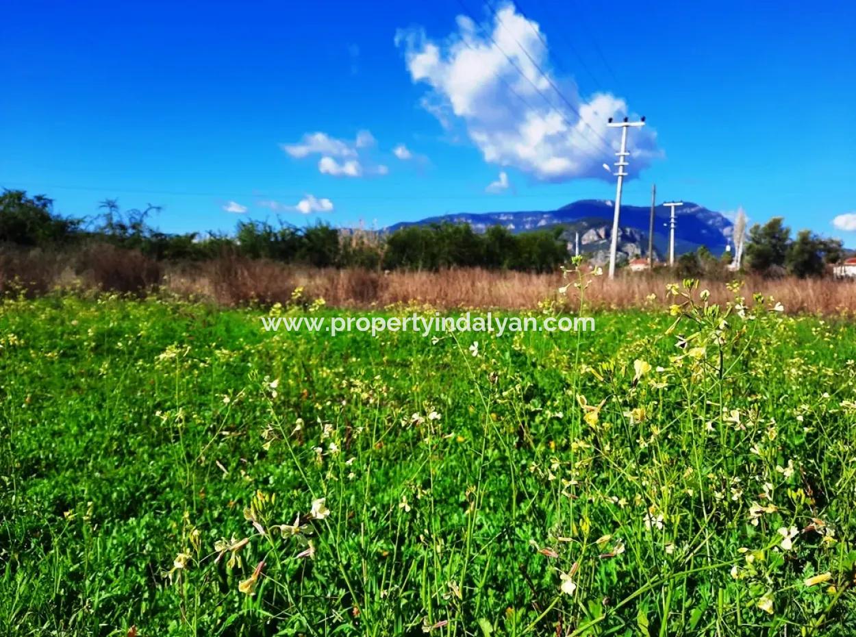Mugla Ortaca Dalyan Is Also Fertile Land Suitable For 9 300 M2 Investment With Road Facades For Sale