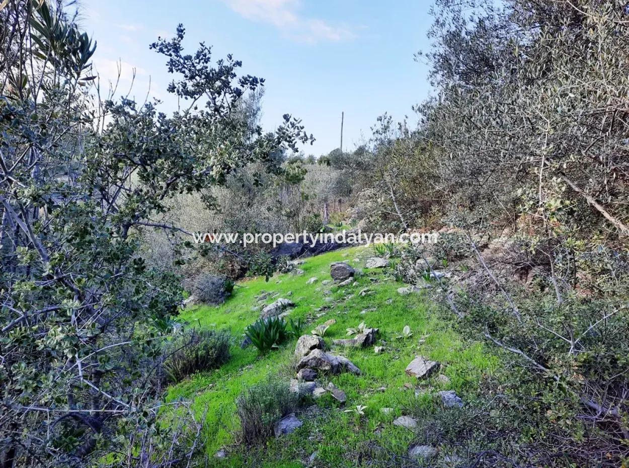 Mugla Dalyan Gokbel 1700 M2 Detached Land And Bungalow With Nature View