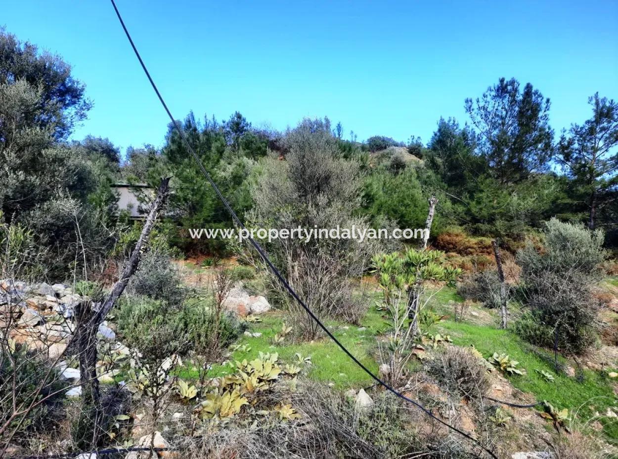 Mugla Dalyan Gokbel 1700 M2 Detached Land And Bungalow With Nature View