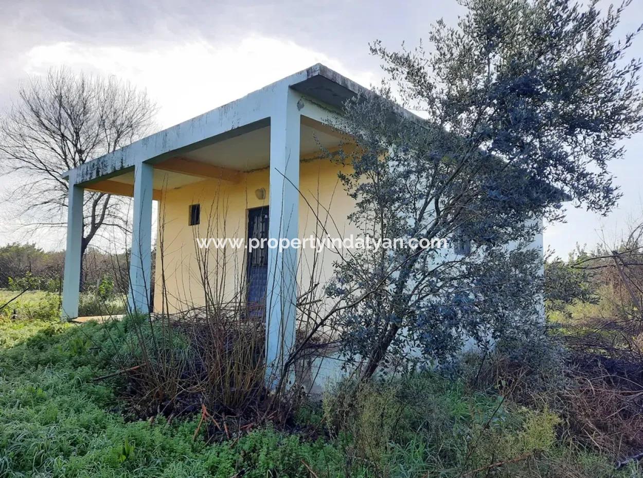 10 000 M2 Detached Lemon Garden For Sale In Ortaca Dalaklı