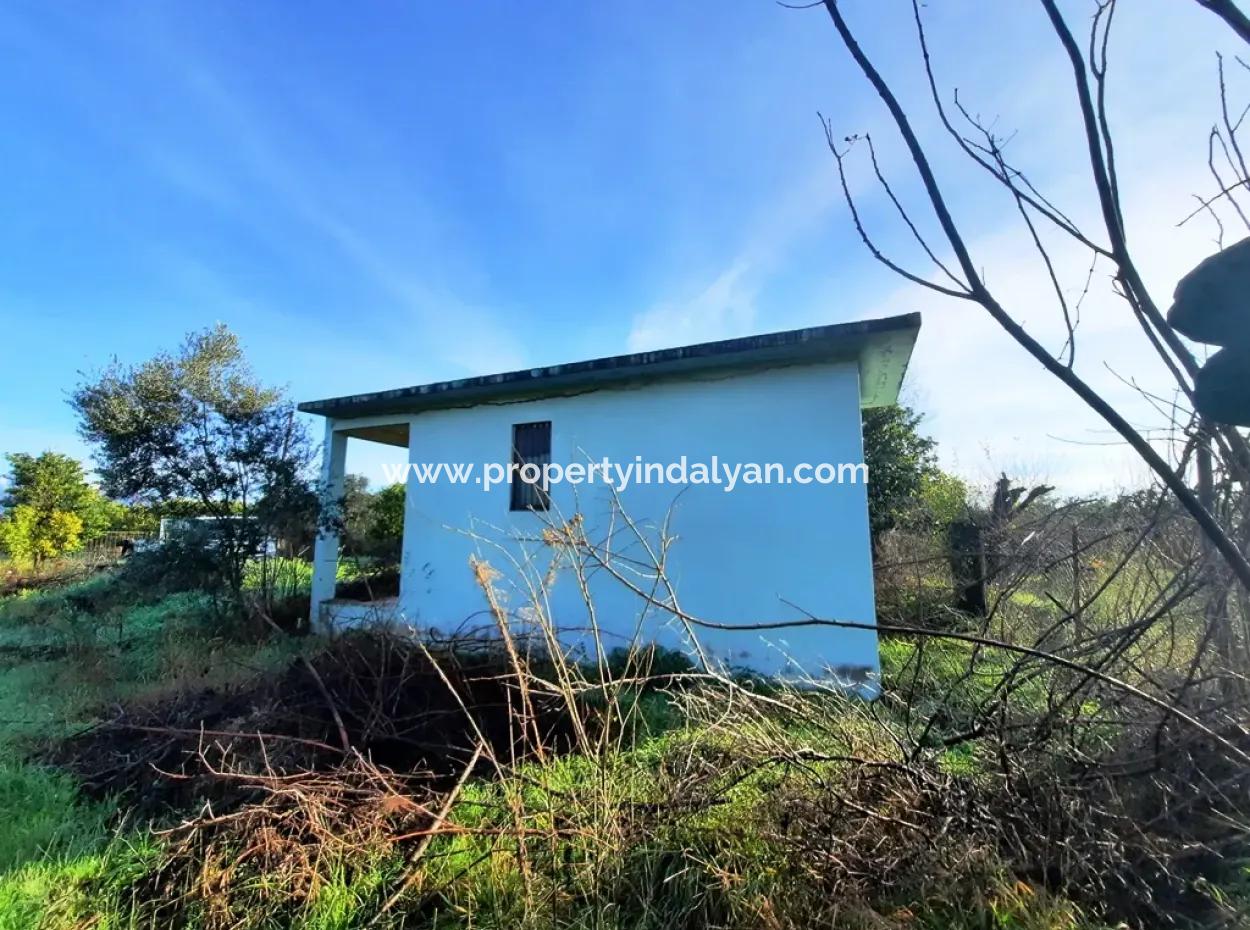 10 000 M2 Detached Lemon Garden For Sale In Ortaca Dalaklı