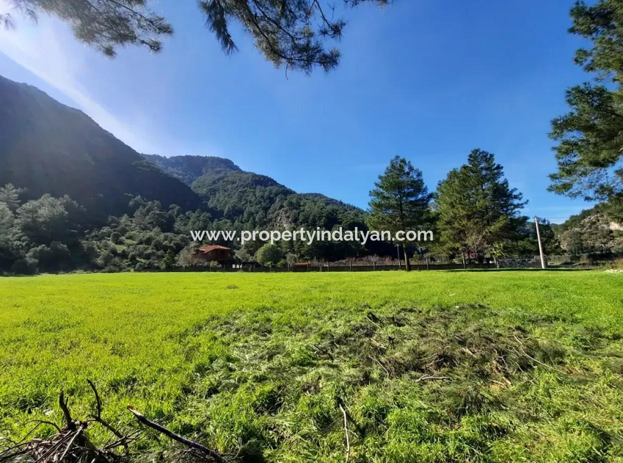 Mergenli For Sale In Ortaca Mountain Zero-Investment A Bargain Suitable Land