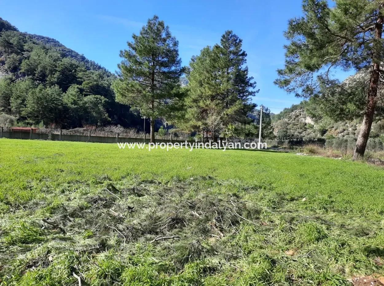 Mergenli For Sale In Ortaca Mountain Zero-Investment A Bargain Suitable Land